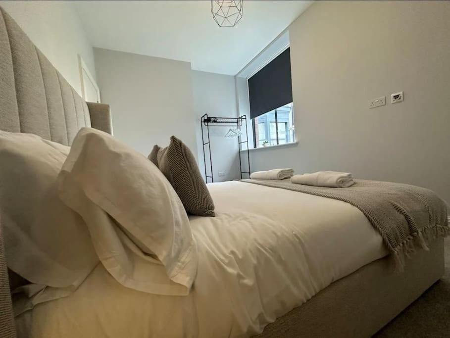 Superior Stay, Sophia Gardens, City Centre And Stadium Sleeps 4 Кардіфф Екстер'єр фото